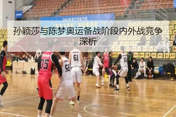 孙颖莎与陈梦奥运备战阶段内外战竞争深析